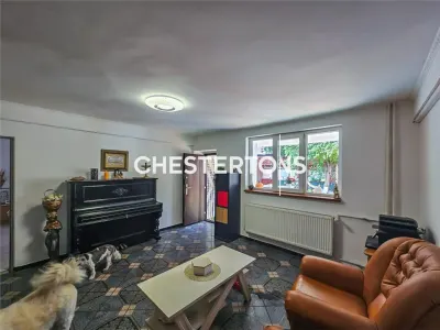 Detached Villa with Swimming Pool and Commercial Space | Dristor – Fizicienilor - foto 14