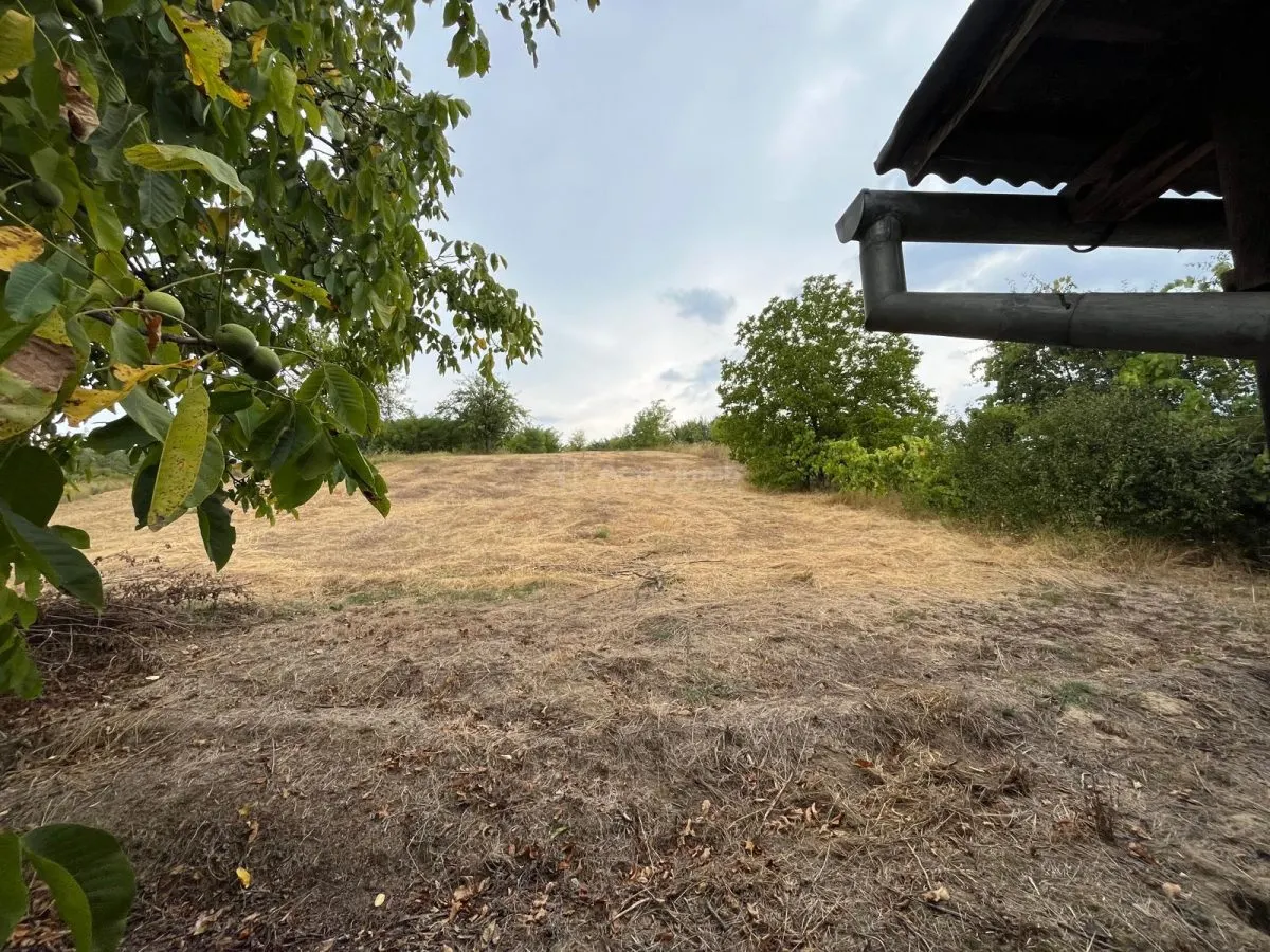 佐瑞莱 6房住宅+5900平米土地 - foto 14