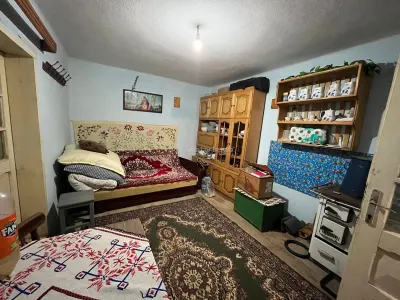 佐瑞莱 6房住宅+5900平米土地 - foto 4