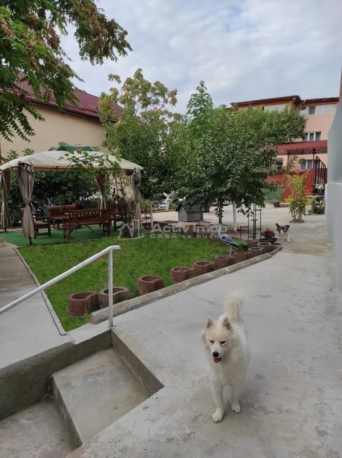Vila Dristor- Ramnicu Sarat - foto 1