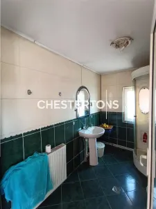 Excepcional Casa de Dos Plantas con Buhardilla, Anexo y Jardín de +200m², Sintesti, Ilfov - foto 11