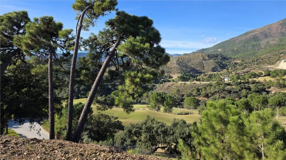 Terreno en Venta en Malaga - foto 2
