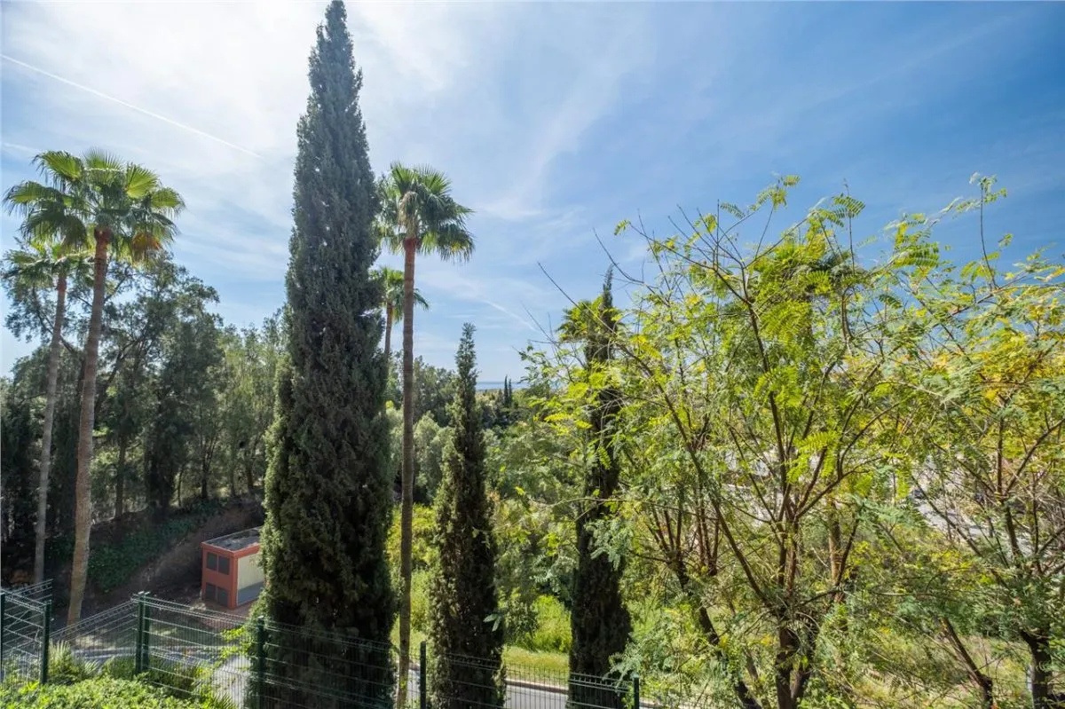 Apartamento en Venta en Malaga - foto 16