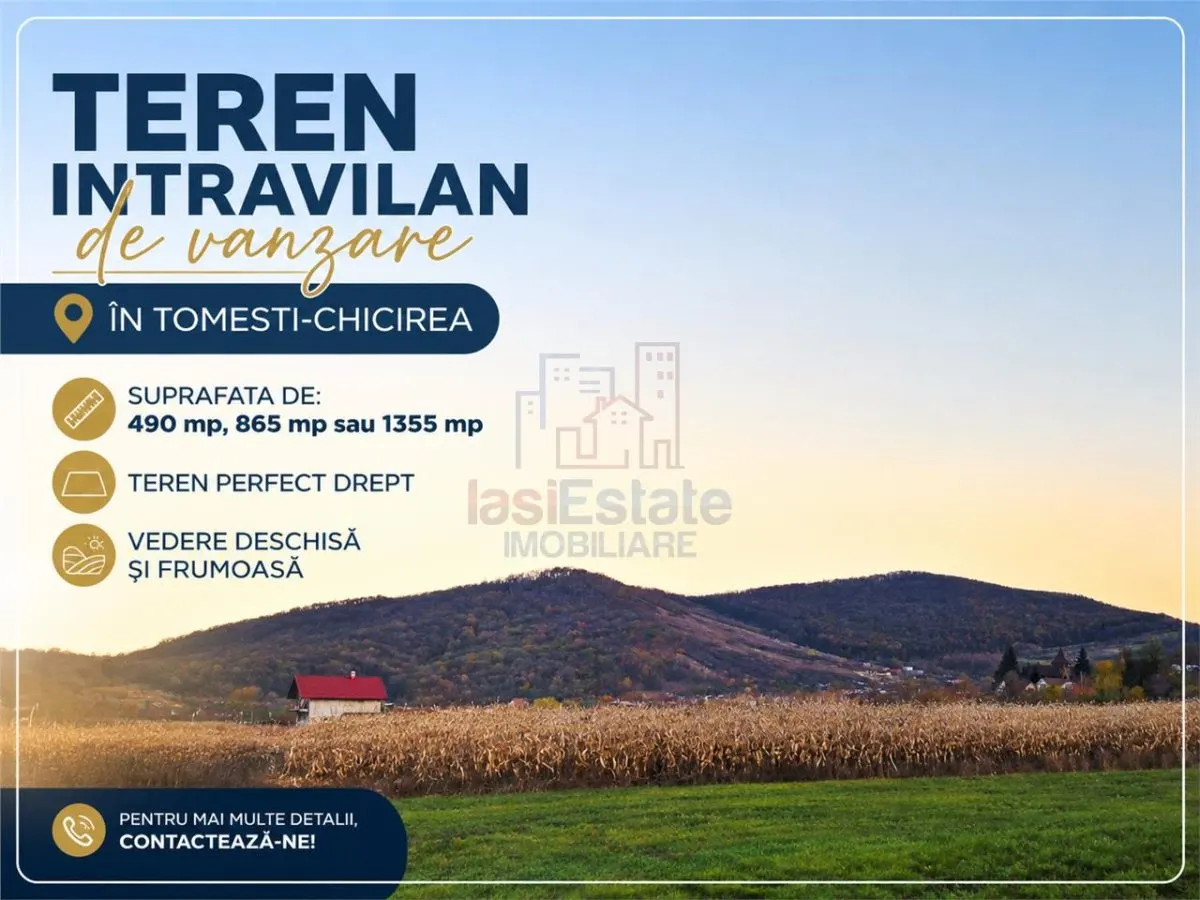 Teren intravilan de vanzare in Chicirea-Tomesti - foto 1