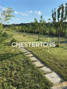 Vila eleganta formata din 2 corpuri, rezidenta exclusivista, Baldovinesti -Braila, ideal investitie - foto 14