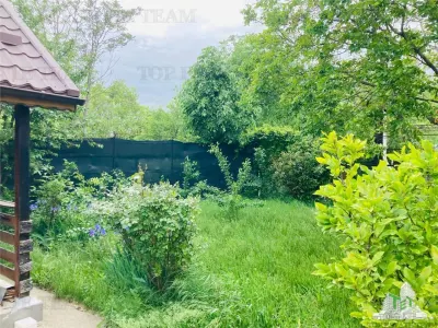 Premium House - Bucuresti | Nicolae Grigorescu | 289 sqm Plot - foto 4