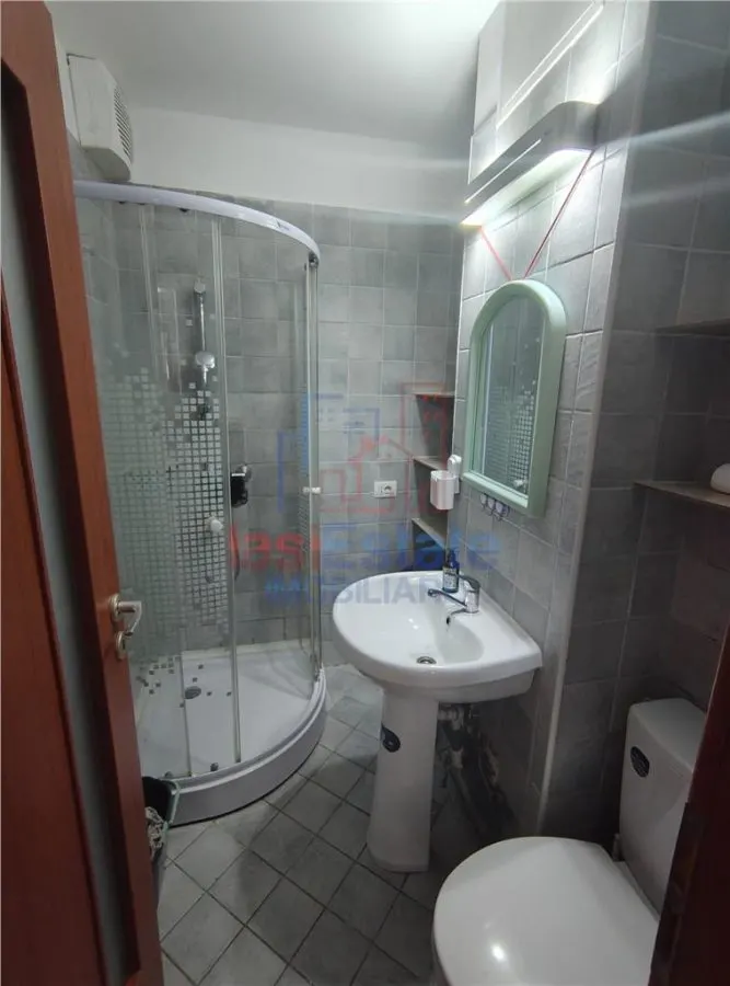 Apartament 2 camere Alexandru - Pasarela Octav Bancila - foto 8
