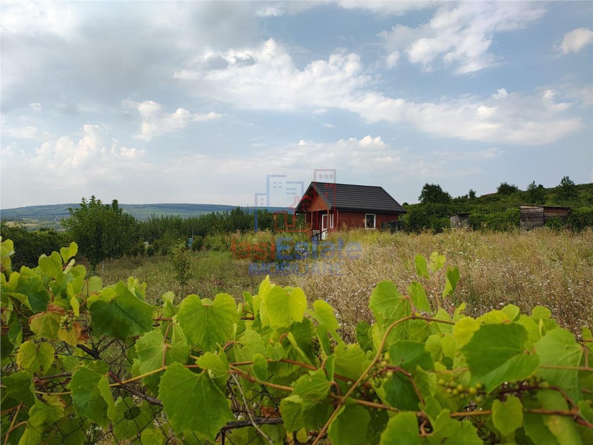 Intravilan - Tomesti - Teren si Cabana zona frumoasa - Tomesti