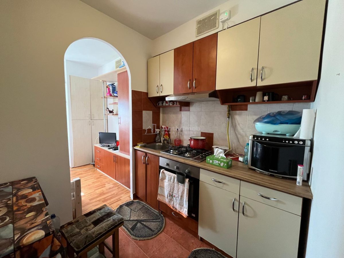 Apartment with 1 bedrooms for sale 33 sqm in Lugoj - foto 12