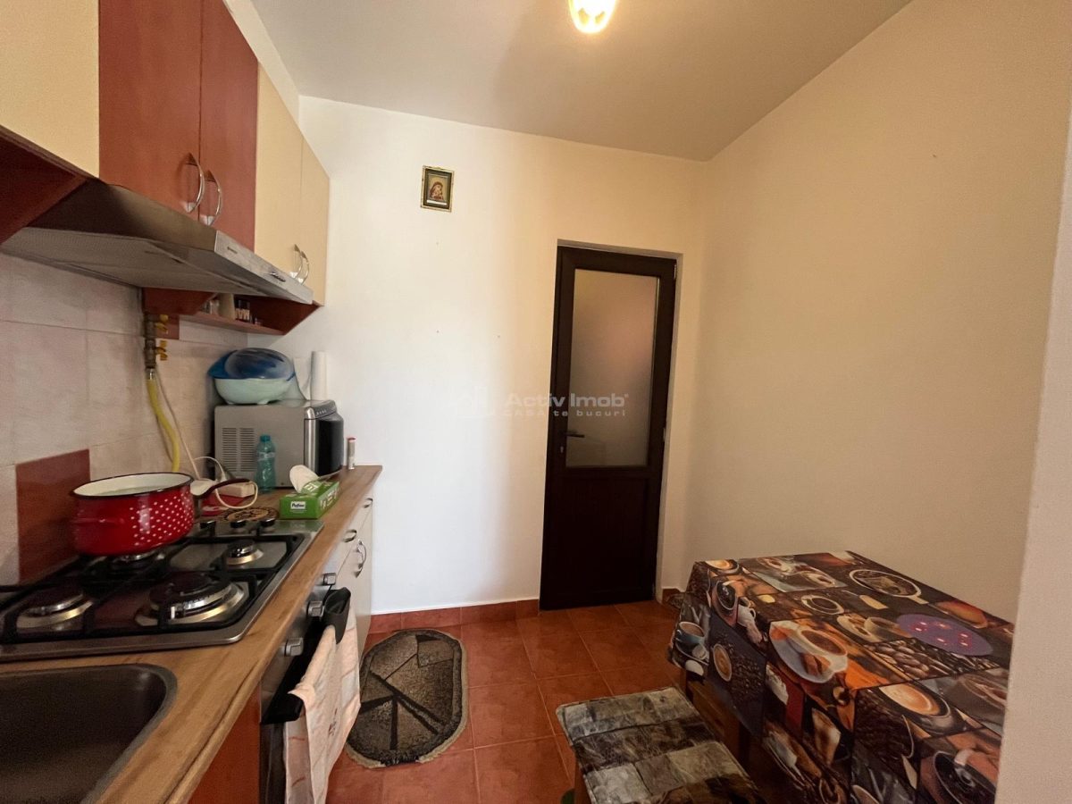 Apartment with 1 bedrooms for sale 33 sqm in Lugoj - foto 13