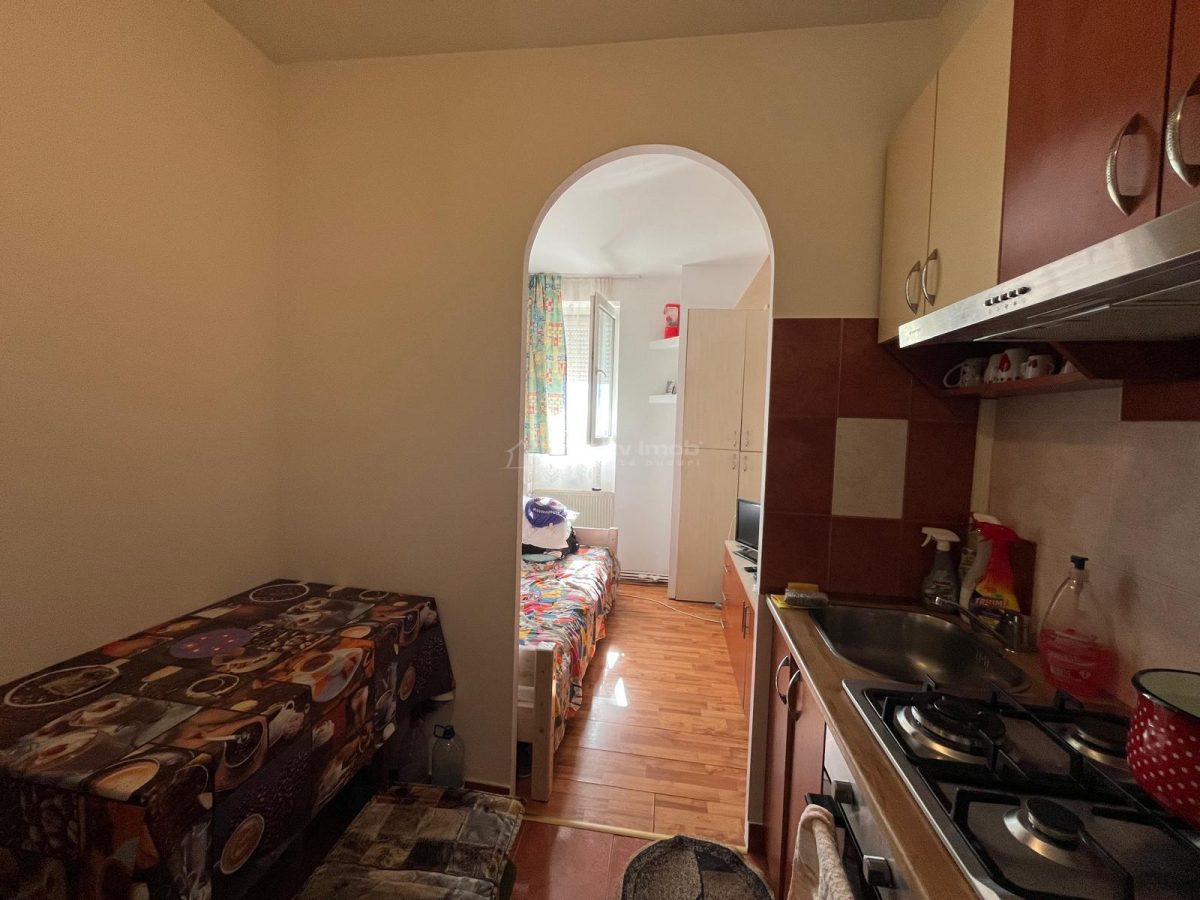 Apartment with 1 bedrooms for sale 33 sqm in Lugoj - foto 15