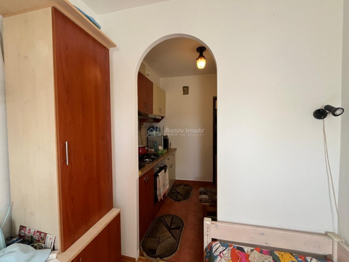 Apartment with 1 bedrooms for sale 33 sqm in Lugoj - foto 18