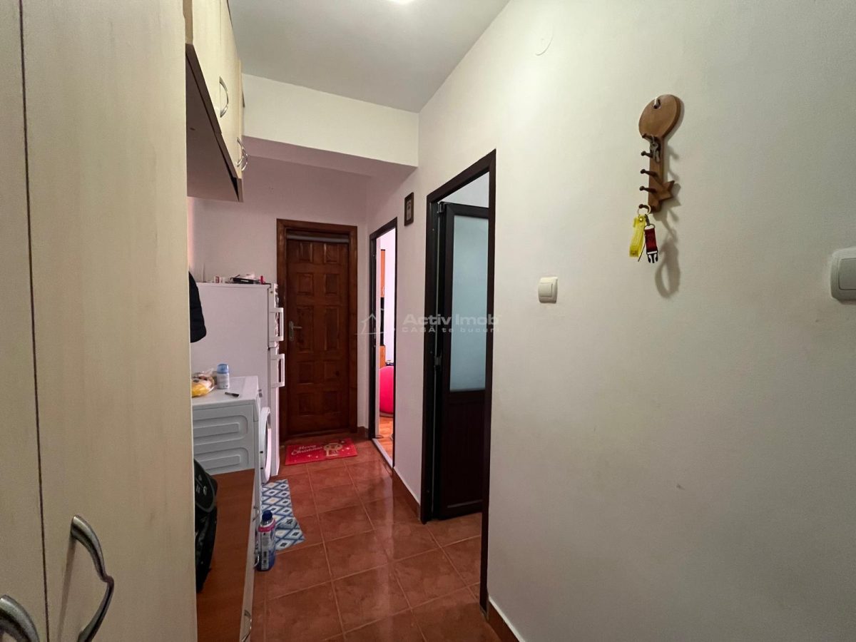 Apartment with 1 bedrooms for sale 33 sqm in Lugoj - foto 19