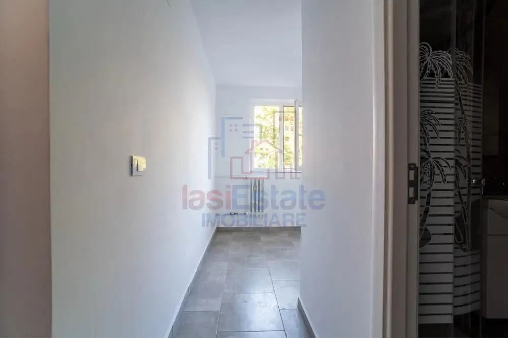 Apartament 1 camera, 25 mp, renovat - Tatarasi - foto 3