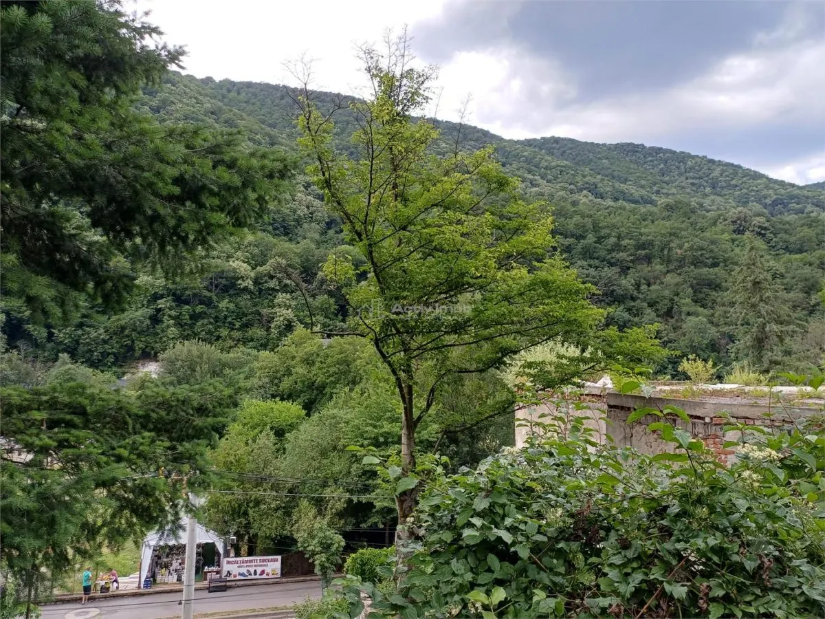 Baile Herculane, De Vanzare Vila Miramonte, 3204 Mp. Teren Intravilan, In Centrul Orasului - foto 17