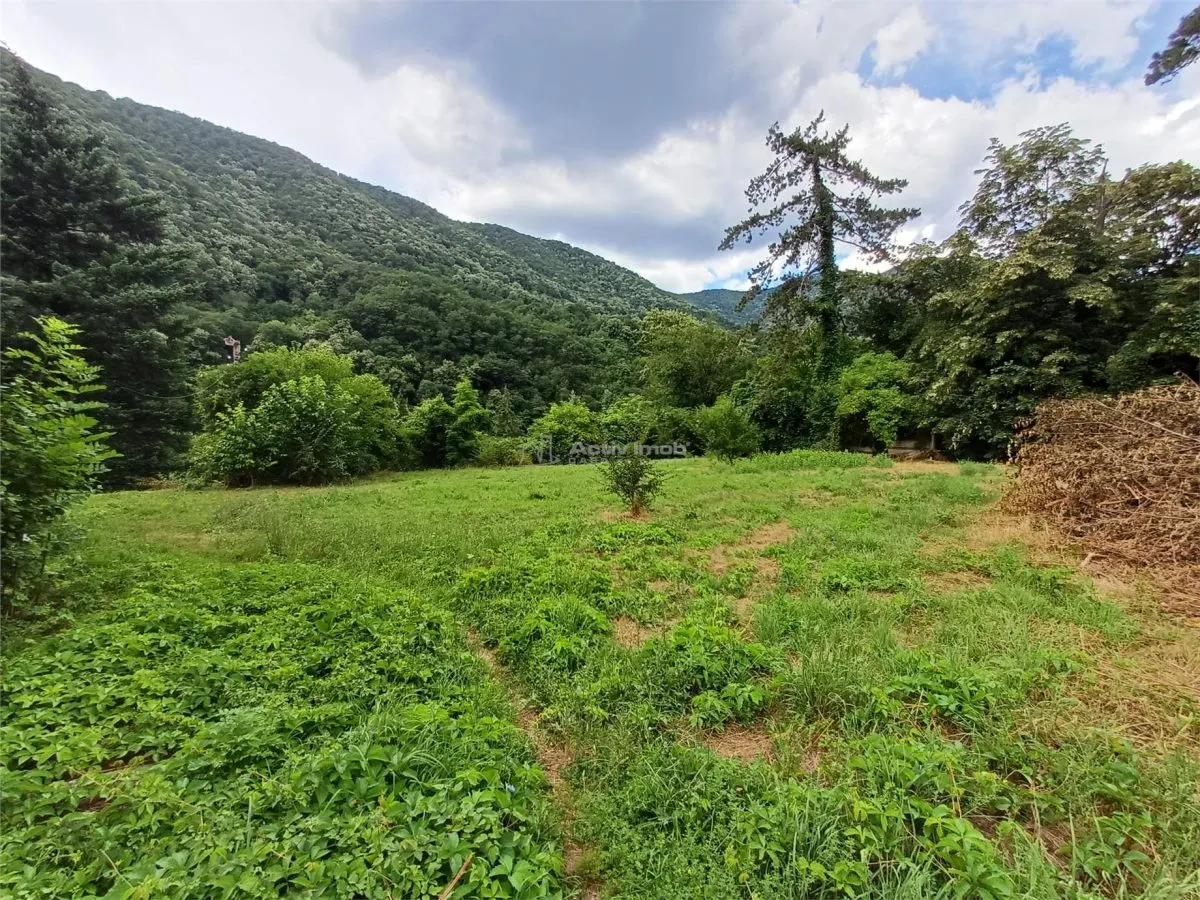 Baile Herculane, De Vanzare Vila Miramonte, 3204 Mp. Teren Intravilan, In Centrul Orasului - foto 6