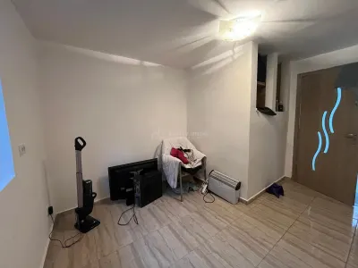 Ohaba-Forgaci, Casa Cu Doua Corpuri, 6 Cam. 268 Mp., Teren 2.999 Mp. Cu Pomicultura, Zona Centrala - foto 16
