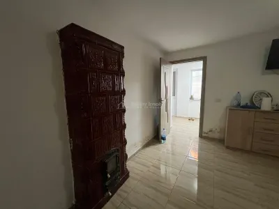 Ohaba-Forgaci, Casa Cu Doua Corpuri, 6 Cam. 268 Mp., Teren 2.999 Mp. Cu Pomicultura, Zona Centrala - foto 17