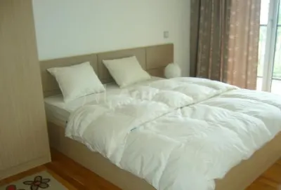 3-Bedroom Apartment, Asmita Garden, Parking, 10 min to Metro - foto 5