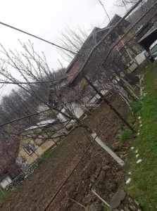 Casa P+1, 5 Dormitorios, Terreno 1.200 m², Barbuncesti - foto 2