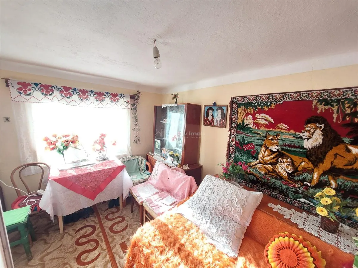 Casa P+1, 5 Dormitorios, Terreno 1.200 m², Barbuncesti - foto 6