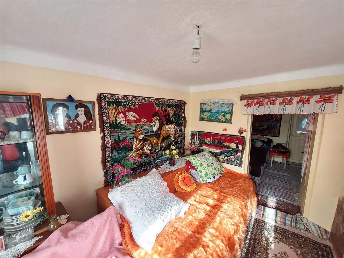 Casa P+1, 5 Dormitorios, Terreno 1.200 m², Barbuncesti - foto 7
