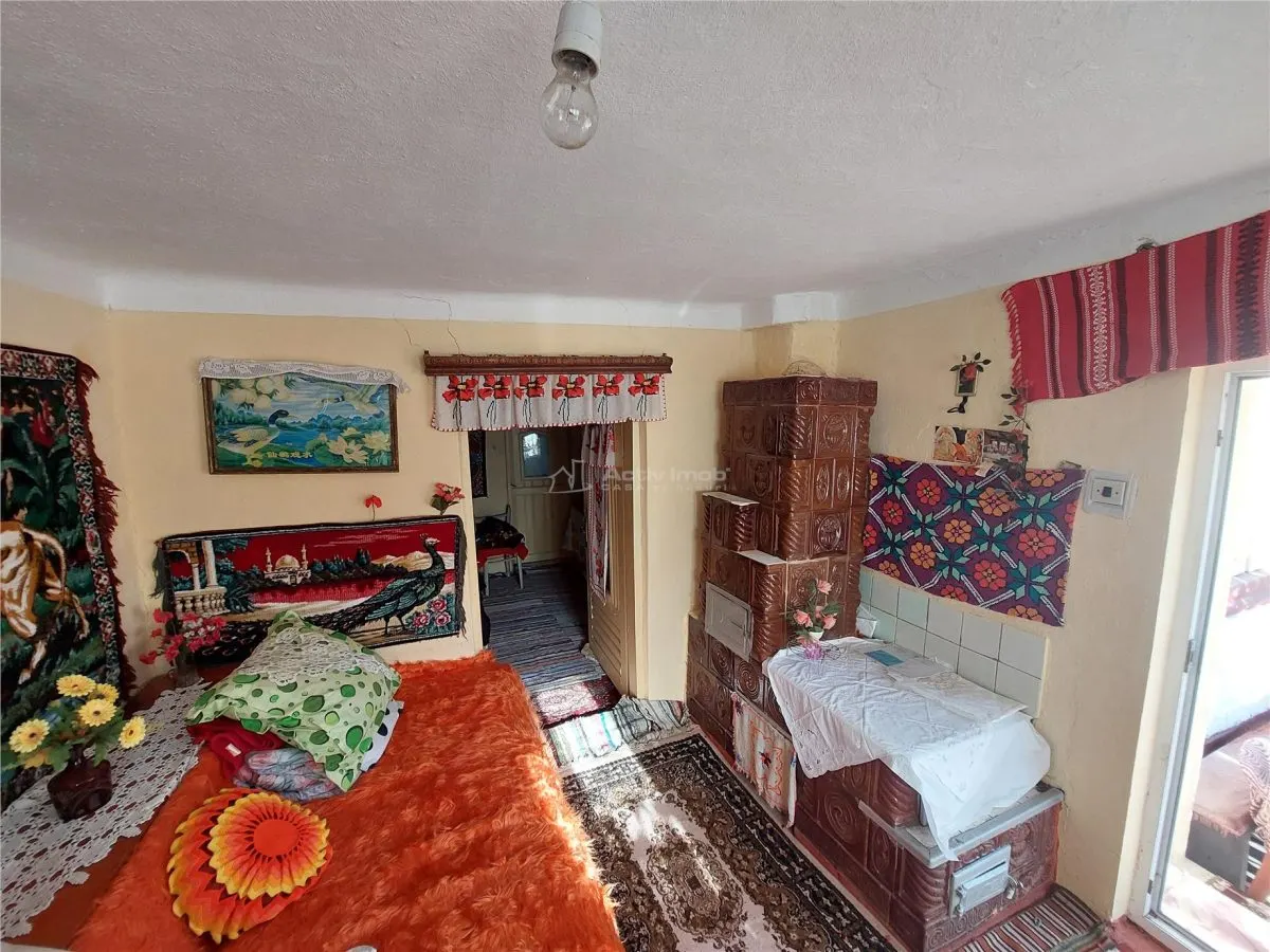 Casa P+1, 5 Dormitorios, Terreno 1.200 m², Barbuncesti - foto 8