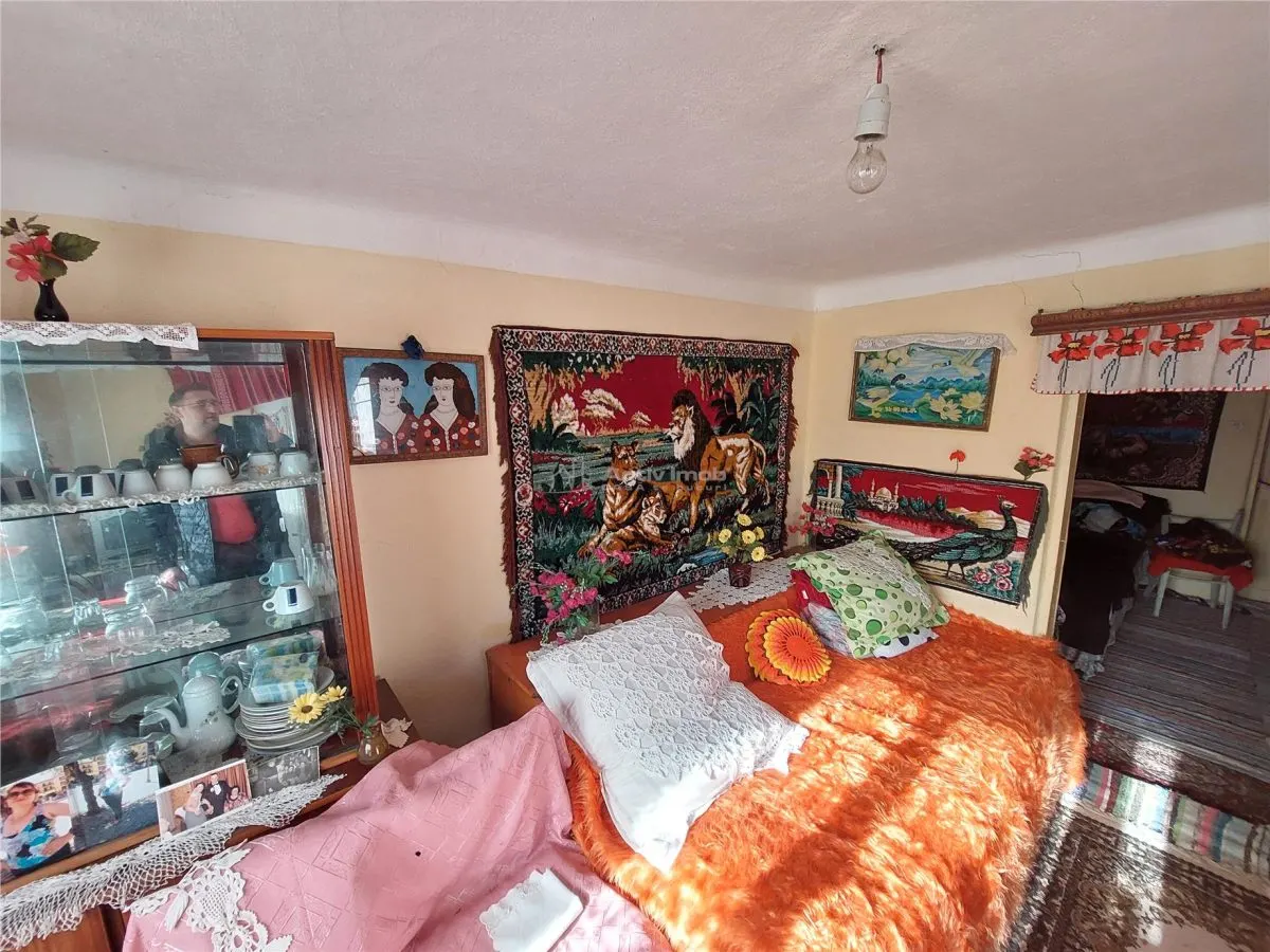 Casa P+1, 5 Dormitorios, Terreno 1.200 m², Barbuncesti - foto 9