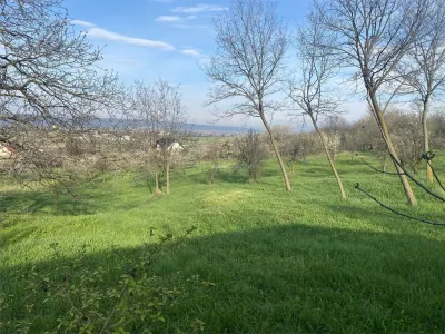 Substantial Plot in Peaceful Location, 15 Minutes from Ploiești - foto 2