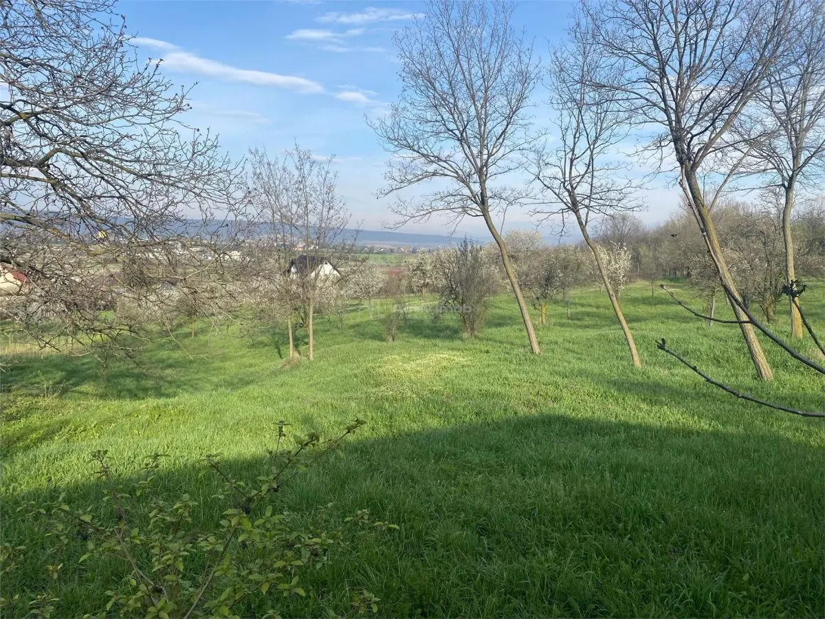 Substantial Plot in Peaceful Location, 15 Minutes from Ploiești - foto 2