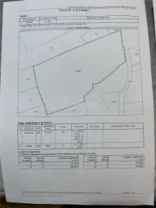 Substantial Plot in Peaceful Location, 15 Minutes from Ploiești - foto 6