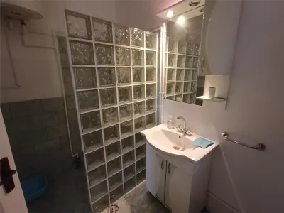 مولدوفا نويا: منزل فسيح مع فناء، إطلالة على الدانوب، 360 متر مربع مبني - foto 20