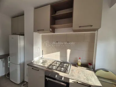 Inchiriere Garsoniera - Sincai - Tineretului - foto 4