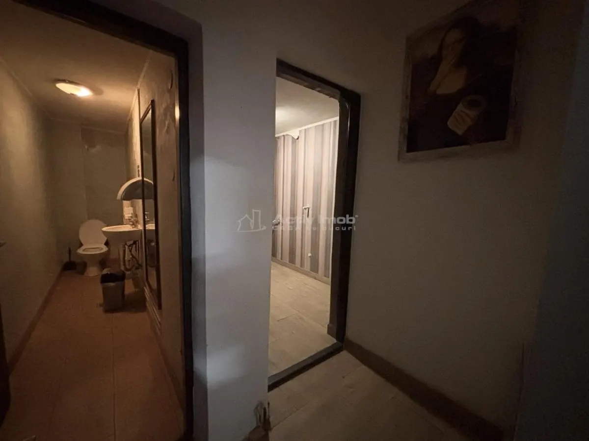 Spatiu comercial autorizat alimentatie publica Bulevardul Decebal - foto 10