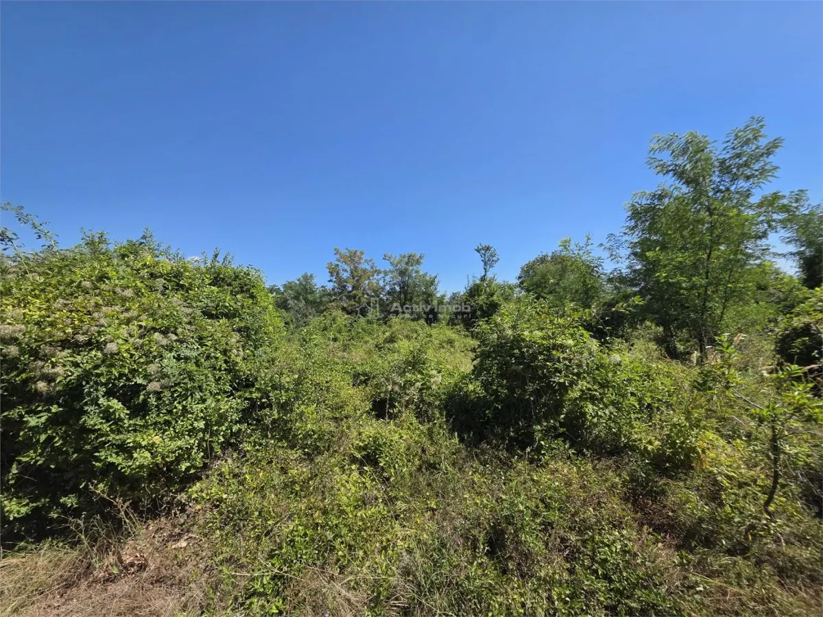 Teren intravilan, 509 mp, deschidere 30 m, com. Vernesti - foto 5
