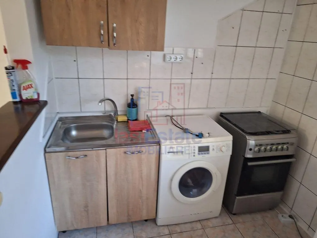 Garsoniera 24 mp, parter, zona Nicolina - ideala pentru investitie - foto 2