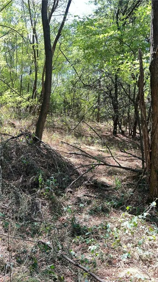 Forest Land for Sale in Hula Bradului, Sibiu County - foto 2