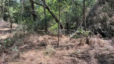 Forest Land for Sale in Hula Bradului, Sibiu County - foto 11