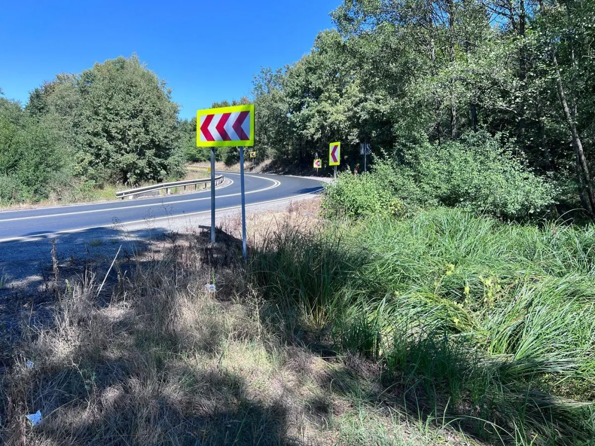 Forest Land for Sale in Hula Bradului, Sibiu County - foto 12