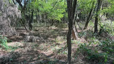 Forest Land for Sale in Hula Bradului, Sibiu County - foto 4