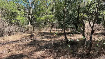 Forest Land for Sale in Hula Bradului, Sibiu County - foto 8
