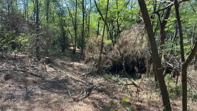 Forest Land for Sale in Hula Bradului, Sibiu County - foto 10