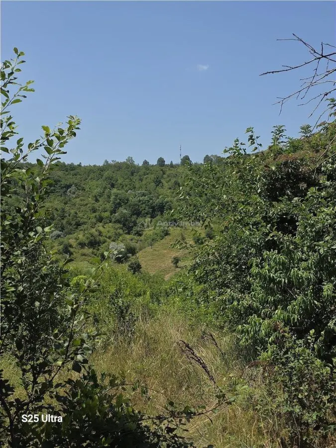 Brick House 104 sqm, Land 1163 sqm, Cotatcu Village, Podgoria - foto 6