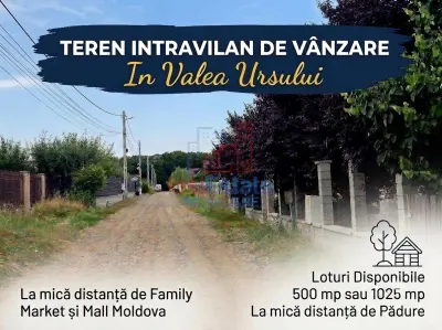 Valea Ursului-Miroslava建筑用地出售 - Valea Ursului