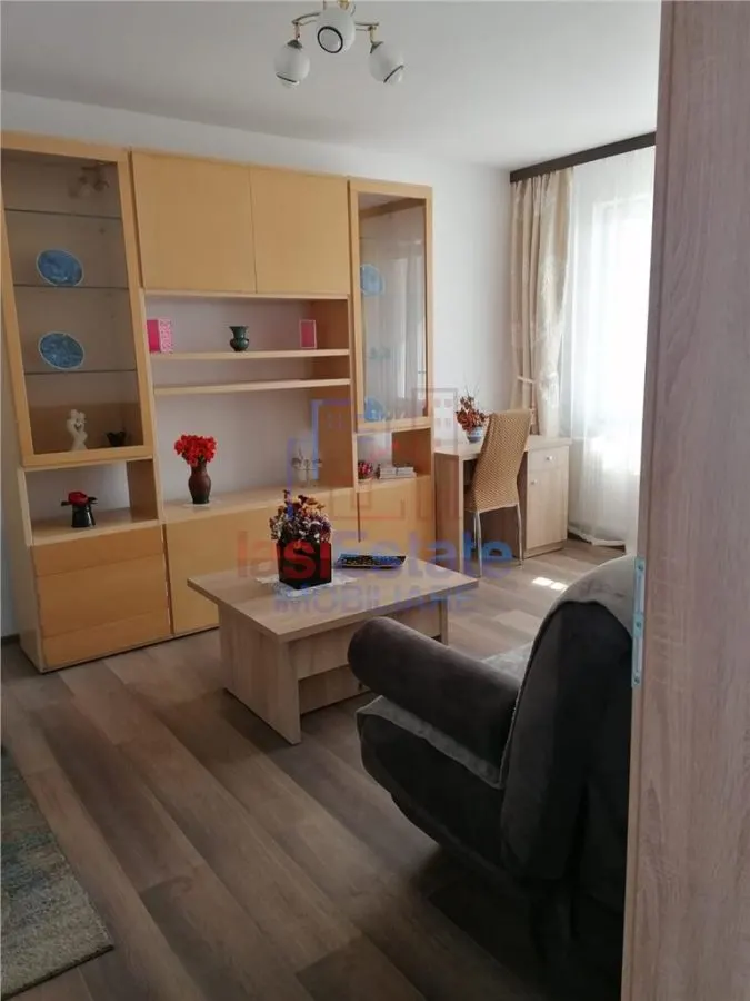 Apartament 2 Camere Alexandru cel Bun - Parcul Voievozilor - foto 1