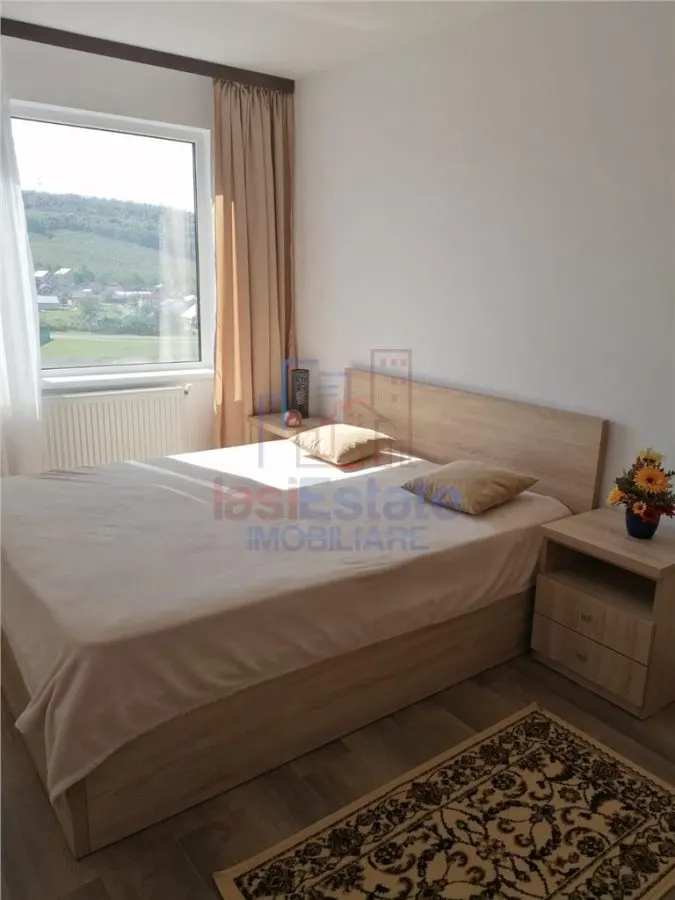 Apartament 2 Camere Alexandru cel Bun - Parcul Voievozilor - foto 4