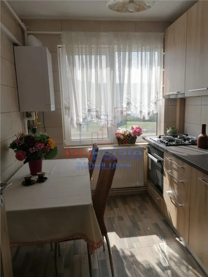 Apartament 2 Camere Alexandru cel Bun - Parcul Voievozilor - foto 8