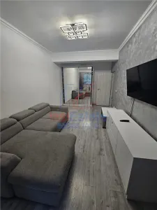 瓦莱亚卢普卢二卧室公寓带庭院，雅西 - Valea Lupului