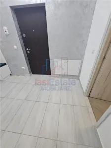 瓦莱亚卢普卢二卧室公寓带庭院，雅西 - foto 5