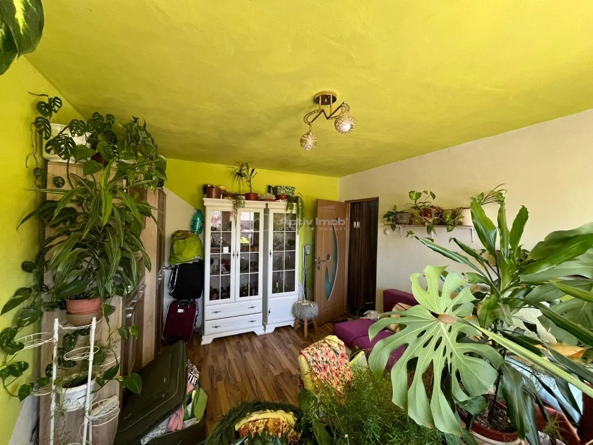 Otelu Rosu, 2 Camere, Et., 1, Ultracentral - foto 11